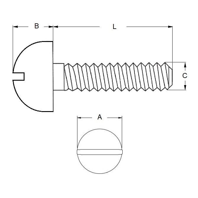 Vite 1/8-40 BSW x 12,7 mm in acciaio zincato - Testa tonda scanalata - MBA (confezione da 10)