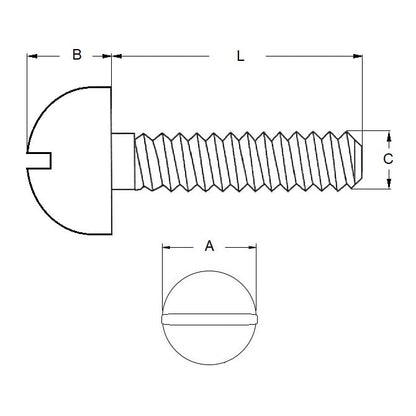 Vite 1/8-40 BSW x 12,7 mm in acciaio zincato - Testa tonda scanalata - MBA (confezione da 10)