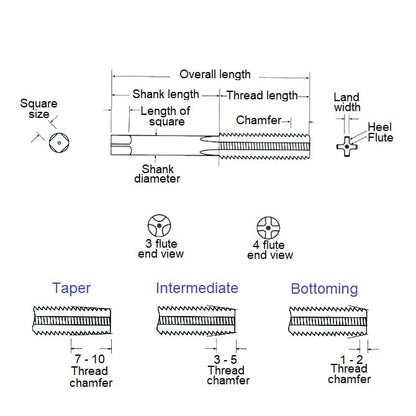 Taraud à Fileter M3 x 0,5 Intermédiaire - Pointe en Spirale Intermédiaire Acier Rapide - Bordo (Pack de 1)
