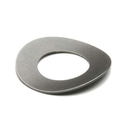 W0111-T-018-022-WC-S2 Spring Washer (Bulk Pack of 50)